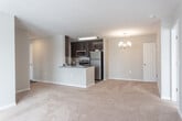 Located at 507 Marcella Rd in Hampton, Virginia, this single-floor residence offers a well-designed layout with a clean, neutral aesthetic throughout. The open-concept living area is finished with soft wall-to-wall carpeting and neutral gray-toned walls, creating a bright and welcoming atmosphere. Large sliding glass doors lead to a private balcony, allowing natural light to pour into the living space and providing outdoor views of the surrounding neighborhood.

The kitchen is a functional and stylish highlight, featuring dark espresso cabinetry, granite countertops, stainless steel appliances including a refrigerator and dishwasher, and a peninsula with a sink that opens toward the living area. Wood-look flooring runs through the kitchen, which also provides direct access to an in-unit laundry area with a full-size washer and dryer.

The bedrooms are carpeted and receive generous natural light through large windows. One bedroom includes a walk-in closet with built-in shelving, while another connects directly to a full bathroom. The two bathrooms are appointed with granite-topped vanities, dark cabinetry, wood-look flooring, and shower-tub combinations, offering both practicality and a cohesive design throughout the home.
