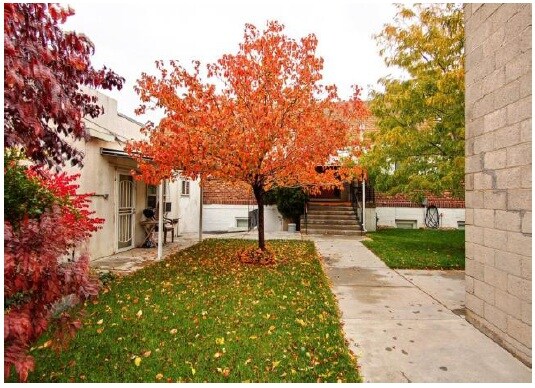 Building Photo - Vine St. Courtyard Apts. and Commercial Space