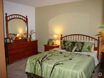 https://images1.apartments.com/i2/QyrS6_AN0LEtmUKGj59Bt_6PL8dGaFJHfEVvguX74sk/111/stonewood-village-madison-wi-bedroom.jpg