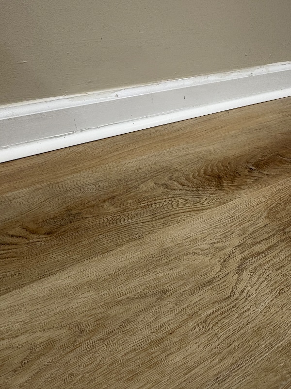 Building Photo - 2741 Jones Ave