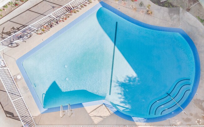 Piscina - Carousel Apartments
