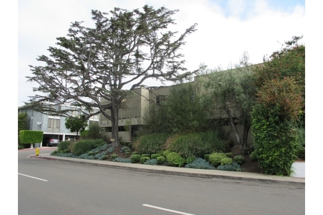 Building Photo - 396 Cypress Dr