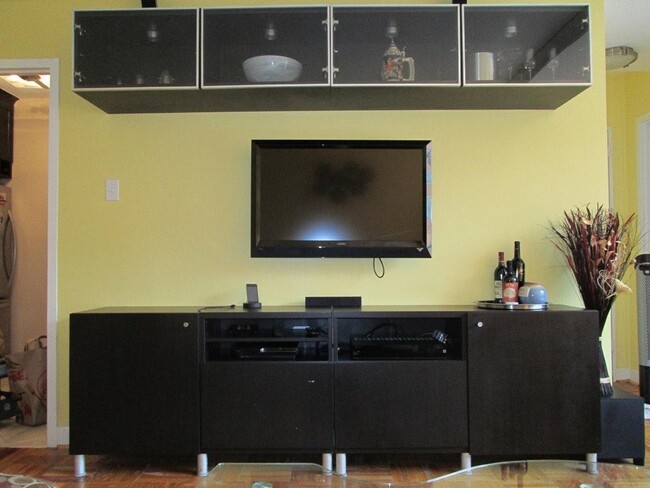Living Room with built-in cabinetry & TV viewing - 1121 ARLINGTON Blvd