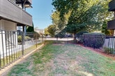 Located at 2220 E 7th St in Charlotte, NC's vibrant Plaza Midwood neighborhood, this outdoor space offers a well-maintained, ground-level grassy area fully enclosed by a sturdy black wrought iron fence. The perimeter fencing provides a clear and secure boundary, with a gated entry point for convenient access. Mature trees and established shrubs line portions of the space, offering natural shade and greenery throughout the area. The lawn itself is open and level, making it a functional and versatile outdoor space. Adjacent to the enclosure, a modern multi-story building with a contemporary façade features private balconies with dark panel accents, large windows, and brick detailing, providing architectural context to the outdoor area. Decorative landscaping, including mulched plant beds and manicured hedges, borders the building's exterior fence line, adding a polished, finished appearance. A small gazebo structure is also visible in the background, contributing additional outdoor amenity to the broader property. The space benefits from abundant natural light and open sky views, creating a bright and inviting atmosphere well-suited for pet activities, relaxation, or general outdoor use.