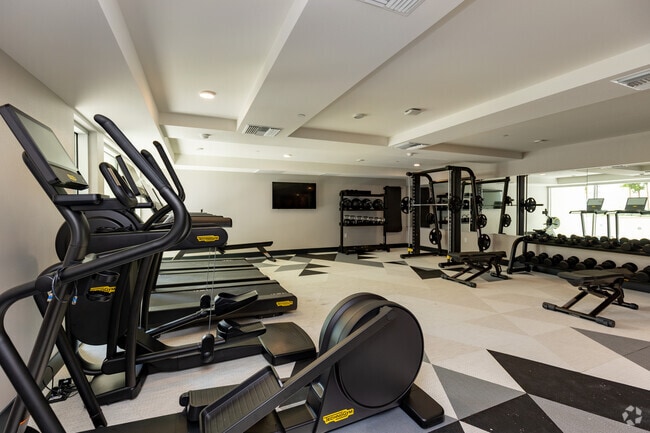 Gym - NEXEN