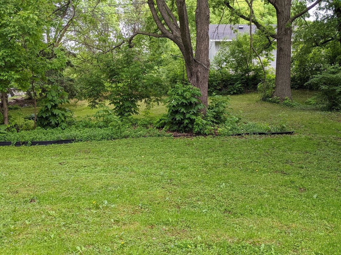 Foto del edificio - 209 W Channing Ave