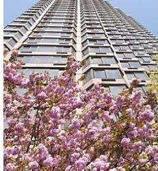 Foto del edificio - 225 E 39th St