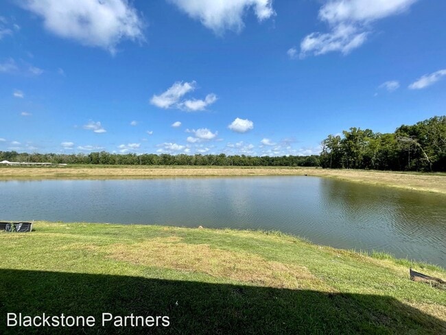 Building Photo - 4 br, 2 bath House - 1508 Tradewater Dr