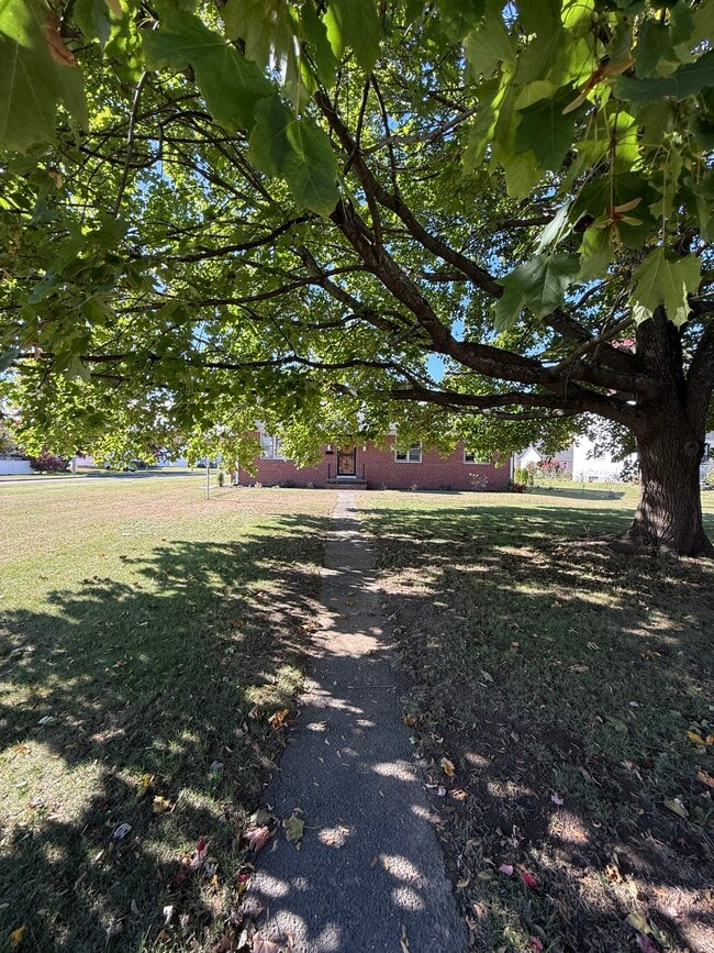 Building Photo - 42 Suffield St