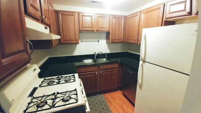 Building Photo - 1 bedroom in Chicago IL 60640