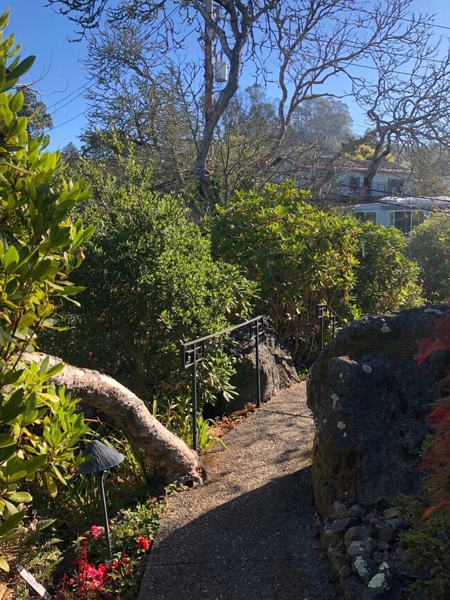 Building Photo - Lovely 3/2 home in the hills of El Cerrito with breathtaking views of the bay!