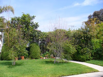 Foto del edificio - 10581 Ayres Ave