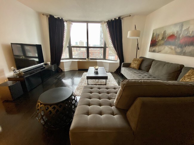 Living room - 899 S Plymouth Ct