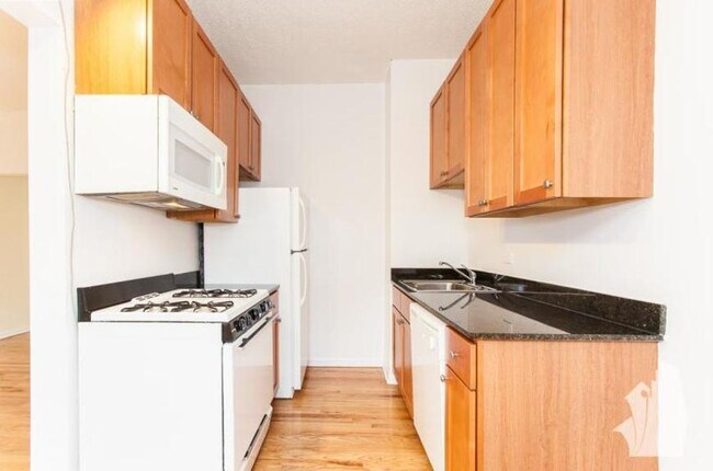Foto del edificio - 0 bedroom in Chicago IL 60613