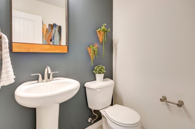 Foto del edificio - 3 Bedroom 2 1/2 Bath in West Fort Collins