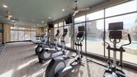 This single-floor fitness center is thoughtfully designed to support a comprehensive workout experience across several distinct zones. The cardio area is lined with a row of treadmills, elliptical trainers, and upright bikes, all positioned along expansive floor-to-ceiling windows that flood the space with natural light and offer views of an outdoor pool and surrounding landscape. Ceiling fans overhead provide additional airflow throughout this section.

The strength training zone features a variety of cable and resistance machines, a full dumbbell rack, and adjustable benches, with large wall mirrors that enhance the sense of space and allow for proper form monitoring. The flooring transitions between plush carpet in the equipment areas and sleek hardwood in the open zones, creating a clear distinction between functional spaces.

A dedicated yoga and stretching studio occupies a separate open area with smooth hardwood floors, a floor mat, and multiple windows offering serene views of the surrounding trees. Vibrant abstract artwork decorates the walls, adding a splash of color and energy to the environment.

Throughout the facility, recessed lighting, ceiling fans, a teal-toned ceiling, and warm neutral walls contribute to a clean, modern, and welcoming ambiance suited for a wide range of fitness activities.
