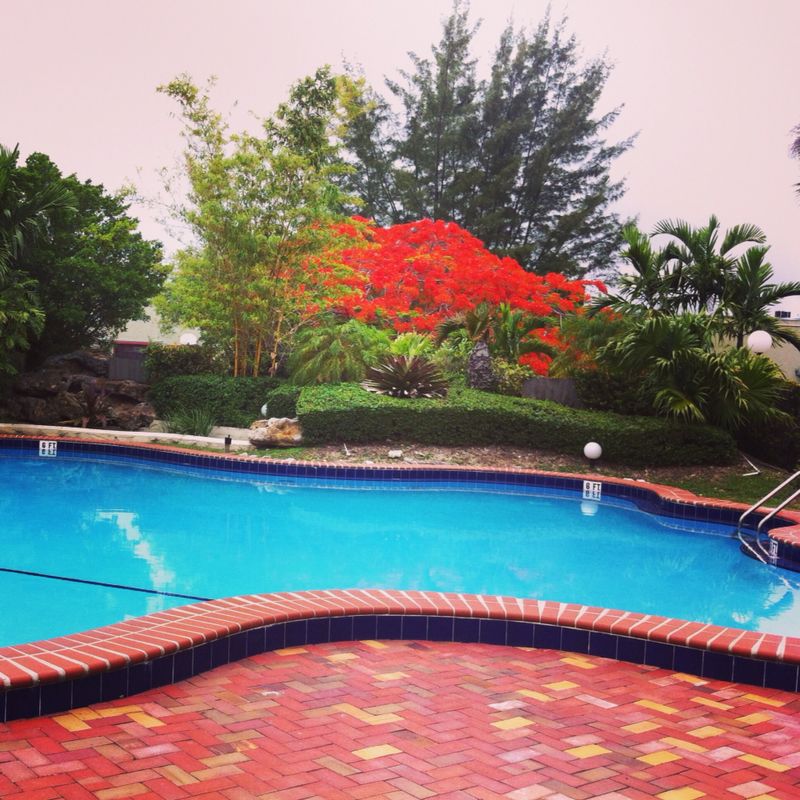 Primary Photo - 4714 SW 67th Ave