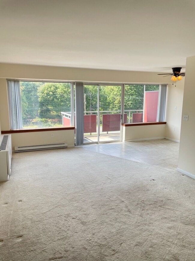 Photo - The Park Ridge Mid-Century Condo