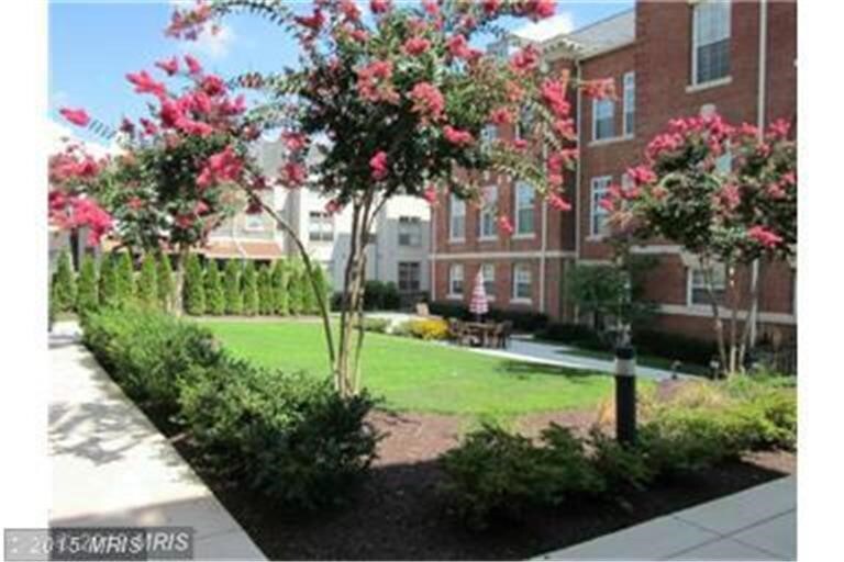 shared courtyard - 2035 2nd St NW