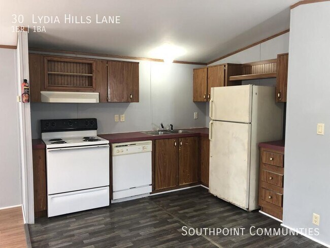 Building Photo - 30 Lydia Hills Ln
