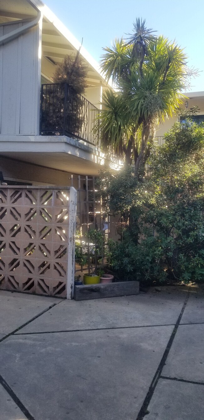 Courtyard - 404 Studio Cir