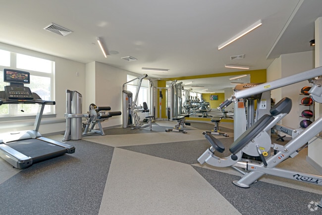 Fitness Center - Deco