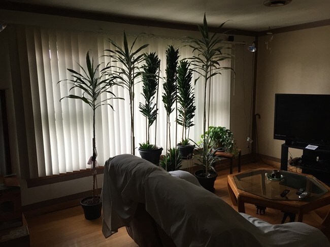 Interior Photo - 14545 Jefferson St