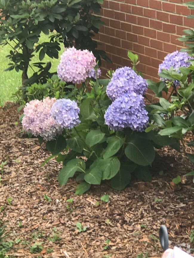 Rainbow Forest Apartments under 3,000 Lynchburg, VA 2 Rentals