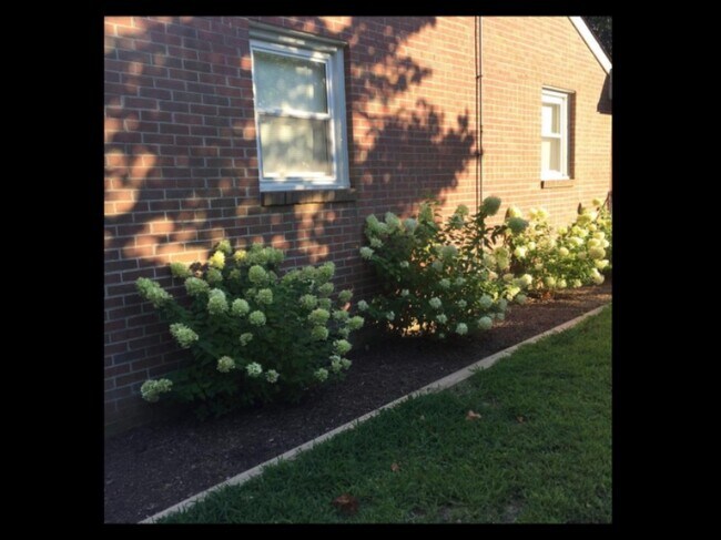 Foto del edificio - 113 Caran Rd