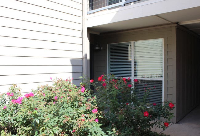 Building Photo - Carillon Apartments