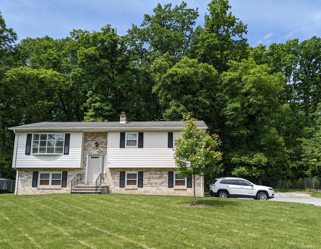 Lower level of private home - 50 Park Ave