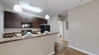 Located in Spring, TX, this well-appointed one-bedroom, one-bathroom unit offers a practical and cohesive layout across a single floor. The kitchen is a standout feature, showcasing rich dark-espresso cabinetry, granite-style countertops, and black appliances including a refrigerator, electric range, microwave, and dishwasher. A breakfast peninsula provides additional prep and dining space, complemented by a pendant light and wood-look flooring that extends throughout the main areas. The kitchen connects seamlessly to the living space, creating an open, functional flow.

The bedroom is carpeted for comfort and includes a ceiling fan with light fixture, neutral walls, and direct access to a walk-in closet outfitted with wire shelving for organized storage. A second closet area with additional wire shelving offers even more storage capacity. The bathroom features a dark-wood vanity with a granite-style countertop, wood-look flooring, and a tub-shower combination. A dedicated laundry area adds everyday convenience. Neutral tones throughout the unit create a calm, move-in-ready atmosphere suited for practical, comfortable living.