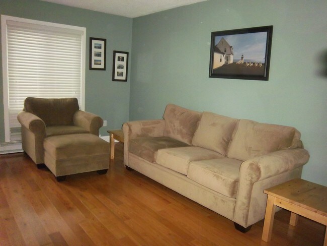 Living Room - 585 Park Rd