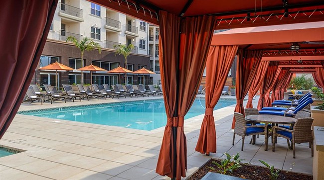 Wi-Fi throughout the pool and amenity areas - Reata Oakbrook Village