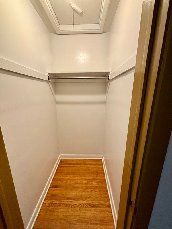 Building Photo - 88 Nicholson St