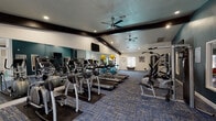 This fitness center offers a comprehensive workout environment designed to support a wide range of exercise routines. The space is defined by vaulted ceilings accented with bold dark wood beams, white walls with teal accent sections, and durable patterned carpet flooring in shades of blue and gray throughout.

The cardio zone is prominently featured along one wall, housing a row of treadmills and elliptical machines, complemented by ceiling fans overhead to maintain airflow during use. Full-length mirrors line one side of the room, visually expanding the space and providing form feedback during workouts. A wall-mounted flat-screen television is positioned for visibility from the cardio area.

The strength training section includes multi-station cable machines and a dedicated free weights area with a dumbbell rack. A separate functional training zone features a well-stocked rack of medicine balls, stability balls in multiple sizes, and rolled exercise mats — ideal for stretching, core work, or group fitness activities.

Natural light filters in through multiple windows fitted with white shutters, and French doors provide access to an exterior area. Decorative wall art, including a large elephant canvas and a tiger print, add character to the space. Recessed lighting supplements the natural light, ensuring the entire facility is well-illuminated at all times.