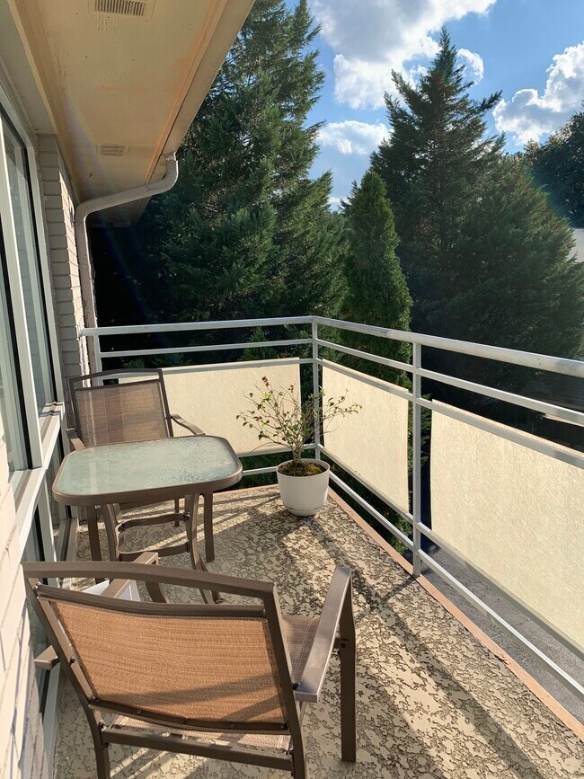 Balcony - 3044 Briarcliff Rd NE
