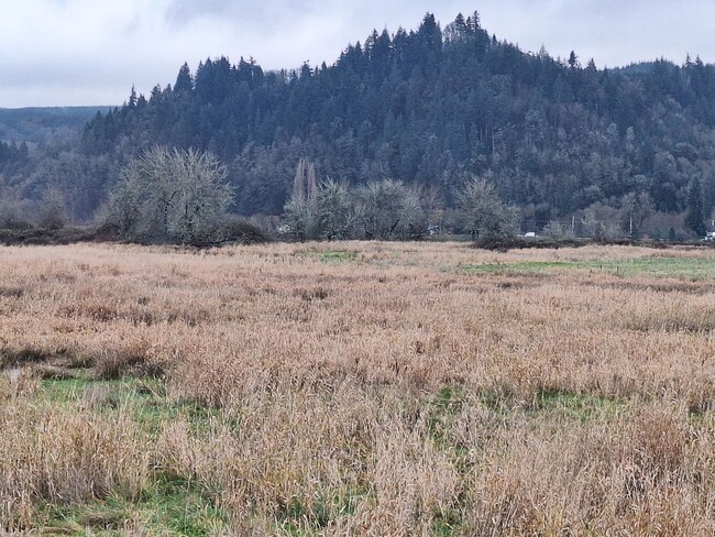 Building Photo - Countryside Living in Cloumbia County