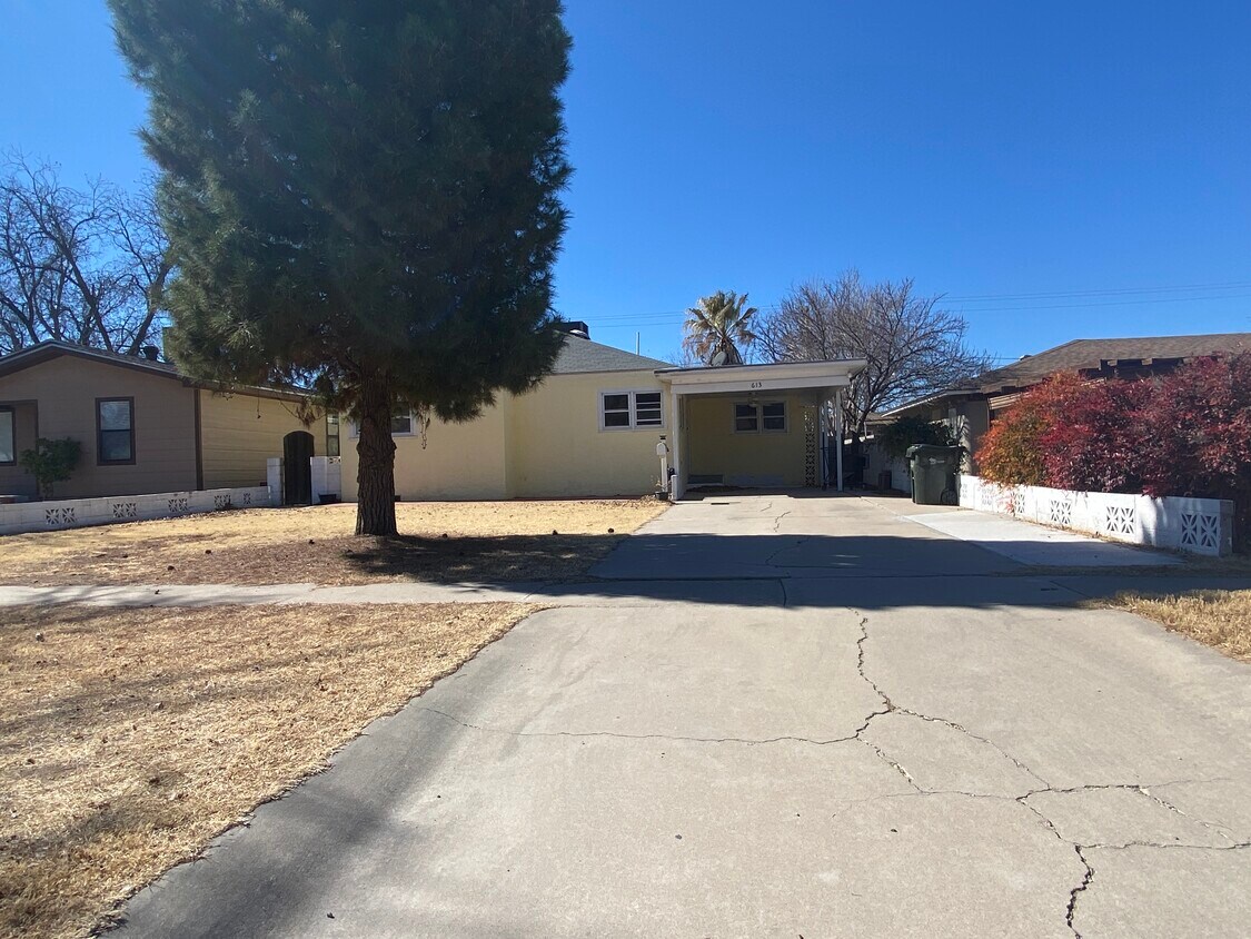 Primary Photo - 613 N Mesquite St