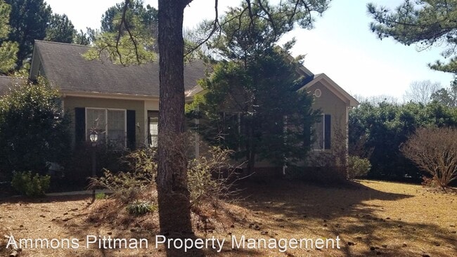 Building Photo - 3 br, 2 bath House - 4336 Rockslide Hills ...