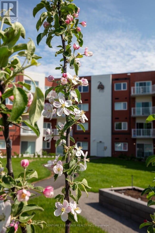 Building Photo - 45 Elmsley St S