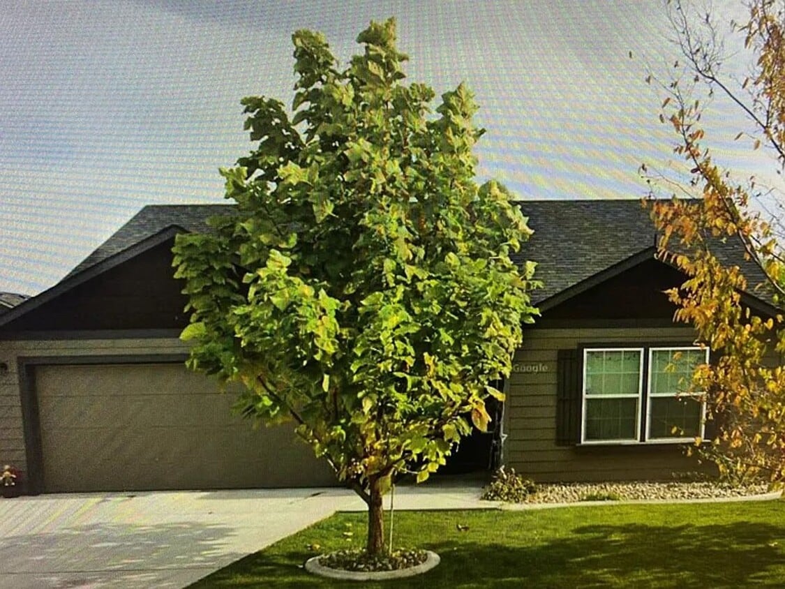 Primary Photo - Three-bedroom House