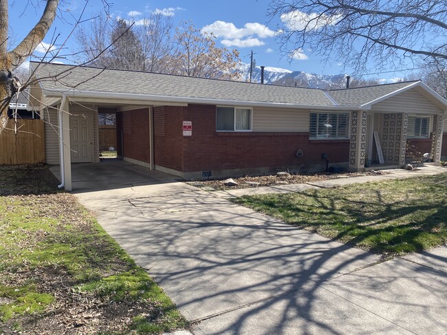 Car port and driveway. - 815 Canyon Rd
