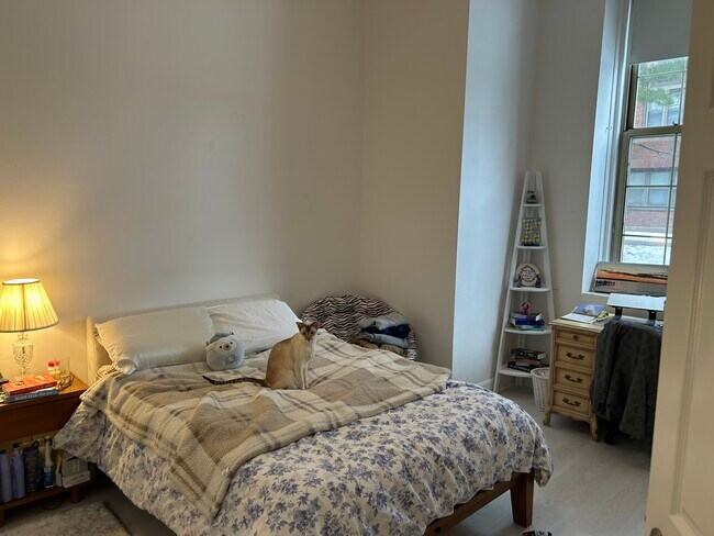 Foto del edificio - 48 Forest St