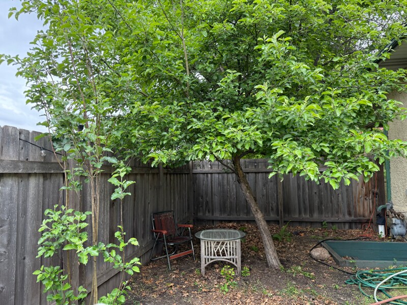 Foto del edificio - 2334 Brewster St