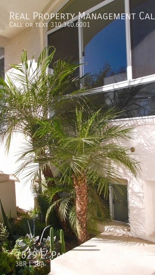 Foto del edificio - 1629 E Palm Ave