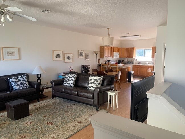 Building Photo - 825 Anastasia Blvd