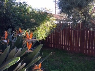 jardín - 440 W Lemon Ave