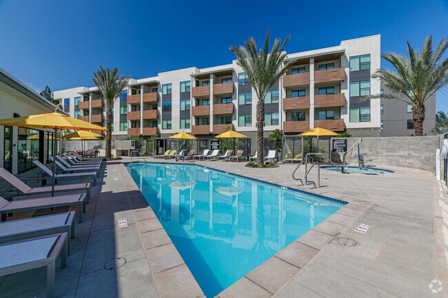 Pool - Union Apartments