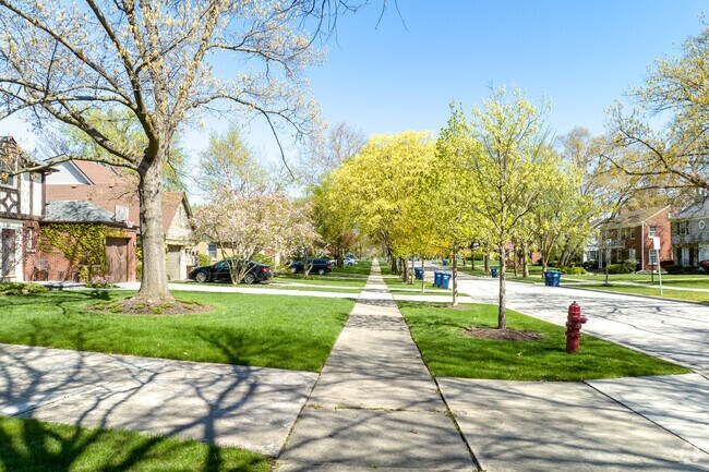 A residential sidewalk lined with trees.